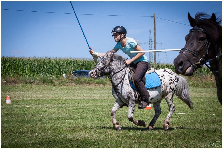 Mounted Games 108